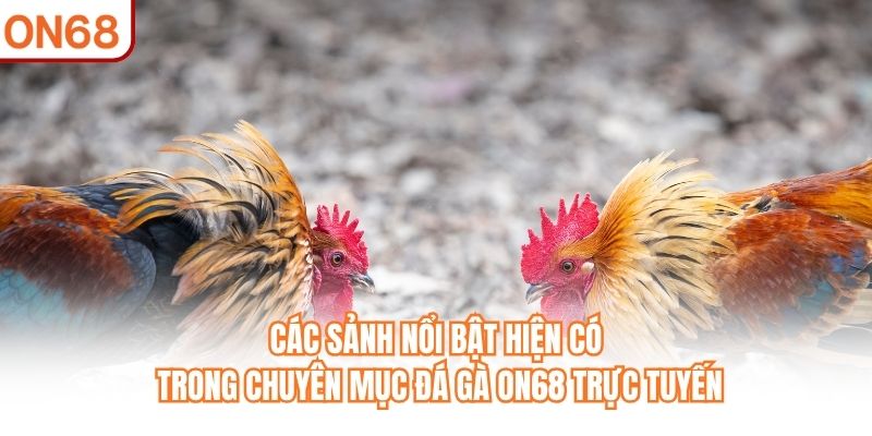 Đá Gà ON68 – Chuyên Mục Trực Tuyến Được Nhiều Người Quan Tâm - slotvivo89