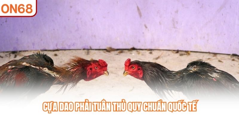 Đá Gà Cựa Dao – Đỉnh Cao Kịch Tính Trên Sàn Cược ON68 - slotvivo89