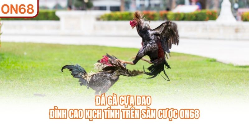 Đá Gà Cựa Dao – Đỉnh Cao Kịch Tính Trên Sàn Cược ON68 - slotvivo89