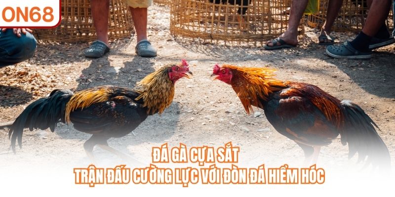 Đá Gà Cựa Sắt ON68 - Trận Đấu Cường Lực Với Đòn Đá Hiểm Hóc - slotvivo89