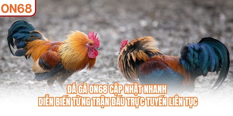 Đá Gà ON68 – Chuyên Mục Trực Tuyến Được Nhiều Người Quan Tâm - slotvivo89