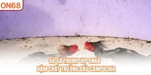 Đá Gà ON68 – Chuyên Mục Trực Tuyến Được Nhiều Người Quan Tâm - slotvivo89