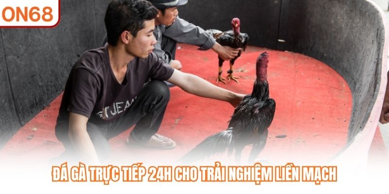 Đá Gà Trực Tiếp 24h ON68 - Tận Hưởng 4K Sắc Nét Từng Giây - slotvivo89