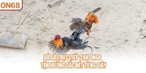 Đá Gà ON68 – Chuyên Mục Trực Tuyến Được Nhiều Người Quan Tâm - slotvivo89