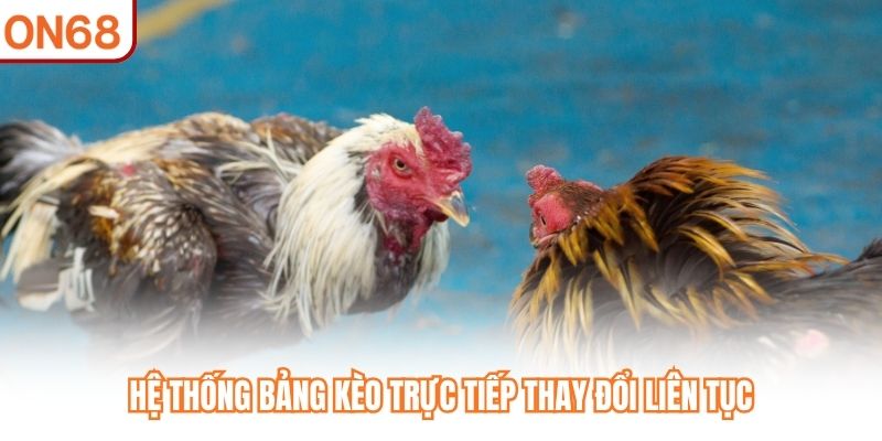 Đá Gà Trực Tiếp 24h ON68 - Tận Hưởng 4K Sắc Nét Từng Giây - slotvivo89