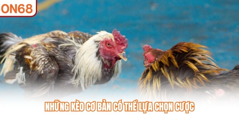 Đá Gà Cựa Dao – Đỉnh Cao Kịch Tính Trên Sàn Cược ON68 - slotvivo89