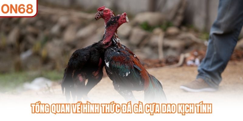 Đá Gà Cựa Dao – Đỉnh Cao Kịch Tính Trên Sàn Cược ON68 - slotvivo89
