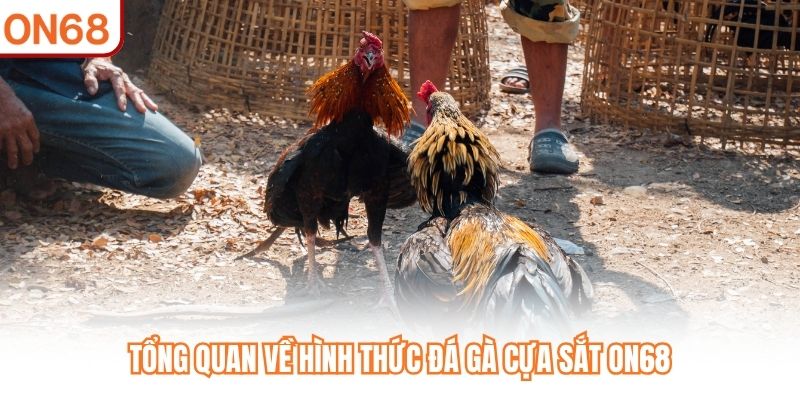 Đá Gà Cựa Sắt ON68 - Trận Đấu Cường Lực Với Đòn Đá Hiểm Hóc - slotvivo89