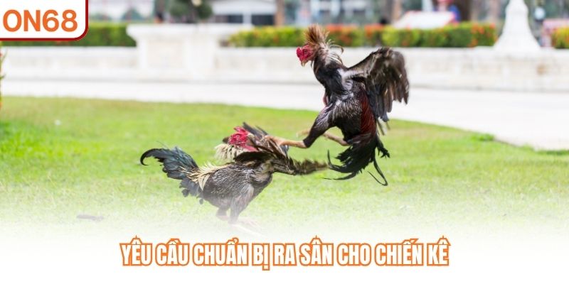 Đá Gà Cựa Sắt ON68 - Trận Đấu Cường Lực Với Đòn Đá Hiểm Hóc - slotvivo89